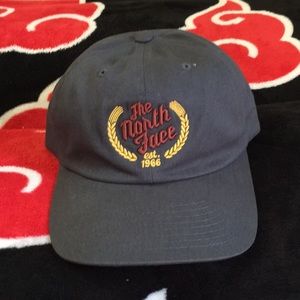 Vintage north face hat